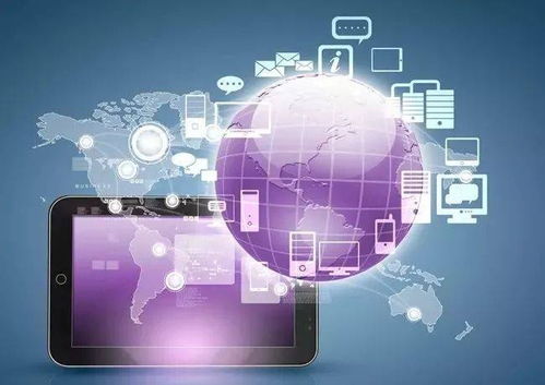 网营中国 互联网时代的颠覆式营销与精准软件开发